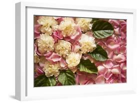 Pink Petals I-Karyn Millet-Framed Photographic Print