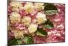Pink Petals I-Karyn Millet-Mounted Photographic Print