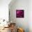 Pink Petals-Gordon Semmens-Framed Stretched Canvas displayed on a wall