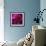 Pink Petals-Gordon Semmens-Framed Photographic Print displayed on a wall