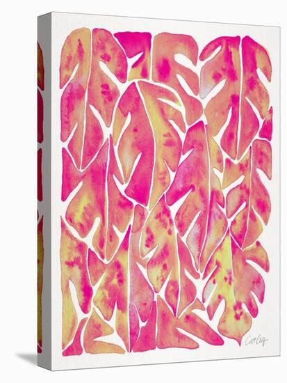 Pink Philodendron-Cat Coquillette-Stretched Canvas