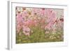 Pink Phlox and Poppies with a Butterfly-Linda Benton-Framed Giclee Print