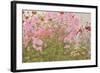 Pink Phlox and Poppies with a Butterfly-Linda Benton-Framed Giclee Print