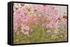 Pink Phlox and Poppies with a Butterfly-Linda Benton-Framed Stretched Canvas