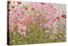 Pink Phlox and Poppies with a Butterfly-Linda Benton-Stretched Canvas