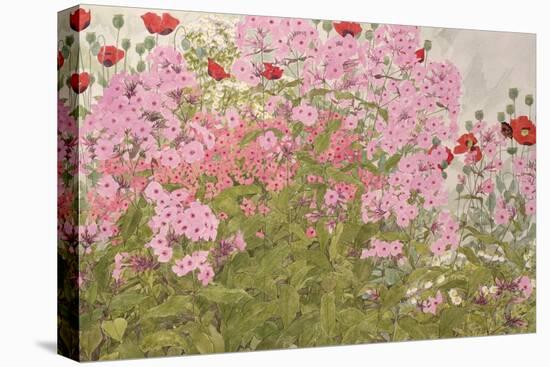Pink Phlox and Poppies with a Butterfly-Linda Benton-Stretched Canvas
