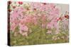 Pink Phlox and Poppies with a Butterfly-Linda Benton-Stretched Canvas