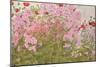 Pink Phlox and Poppies with a Butterfly-Linda Benton-Mounted Giclee Print