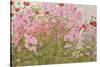 Pink Phlox and Poppies with a Butterfly-Linda Benton-Stretched Canvas