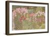 Pink Phlox in the Herbaceous Border-Linda Benton-Framed Giclee Print