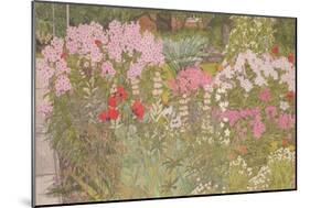 Pink Phlox in the Herbaceous Border-Linda Benton-Mounted Giclee Print