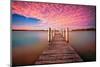 Pink Pier-Tracie Louise-Mounted Photographic Print