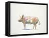 Pink Pig-Patti Mann-Framed Stretched Canvas