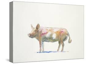 Pink Pig-Patti Mann-Stretched Canvas