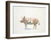 Pink Pig-Patti Mann-Framed Art Print