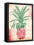 Pink Pineapple Henna-Jace Grey-Framed Stretched Canvas