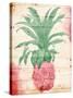 Pink Pineapple Henna-Jace Grey-Stretched Canvas