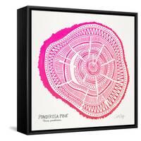 Pink Ponderosa-Cat Coquillette-Framed Stretched Canvas