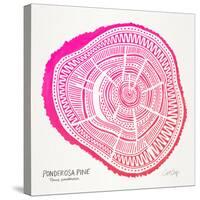 Pink Ponderosa-Cat Coquillette-Stretched Canvas