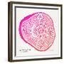 Pink Ponderosa-Cat Coquillette-Framed Giclee Print