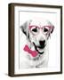 Pink Pop on Pup-Susan Bryant-Framed Art Print