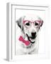 Pink Pop on Pup-Susan Bryant-Framed Art Print