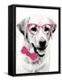 Pink Pop on Pup-Susan Bryant-Framed Stretched Canvas