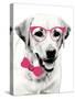 Pink Pop on Pup-Susan Bryant-Stretched Canvas