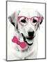 Pink Pop on Pup-Susan Bryant-Mounted Art Print