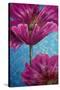 Pink Poppies on Blue-Cherie Roe Dirksen-Stretched Canvas