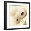 Pink Poppies-Judy Stalus-Framed Art Print