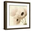 Pink Poppies-Judy Stalus-Framed Art Print