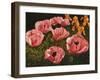 Pink Poppies-John Newcomb-Framed Giclee Print