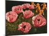 Pink Poppies-John Newcomb-Mounted Giclee Print