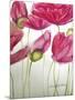 Pink Poppies-Cherie Roe Dirksen-Mounted Giclee Print