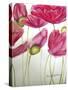 Pink Poppies-Cherie Roe Dirksen-Stretched Canvas