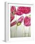 Pink Poppies-Cherie Roe Dirksen-Framed Giclee Print