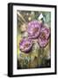 Pink Poppies-Cherie Roe Dirksen-Framed Giclee Print