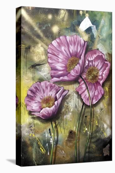 Pink Poppies-Cherie Roe Dirksen-Stretched Canvas