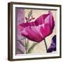 Pink Poppy I-Sasha-Framed Giclee Print
