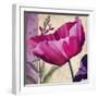 Pink Poppy I-Sasha-Framed Giclee Print