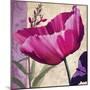 Pink Poppy I-Sasha-Mounted Giclee Print