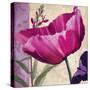 Pink Poppy I-Sasha-Stretched Canvas