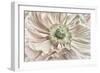 Pink Poppy-Cora Niele-Framed Photographic Print