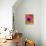 Pink Poppy-Natasha Wescoat-Giclee Print displayed on a wall