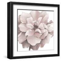 Pink Precious Withaar-Withaar-Framed Art Print