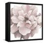 Pink Precious Withaar-Withaar-Framed Stretched Canvas