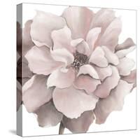 Pink Precious Withaar-Withaar-Stretched Canvas