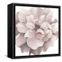 Pink Precious Withaar-Withaar-Framed Stretched Canvas