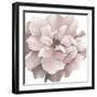 Pink Precious Withaar-Withaar-Framed Art Print